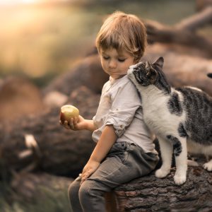 chłopiec z jabłkiem w ręku i kotem